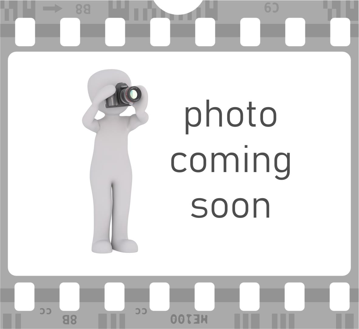 Stalldunggabel 1220 SWR Euro
