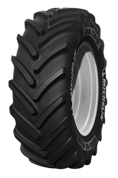 Michelin 650/65R38 Multibib Plus TL 163 D