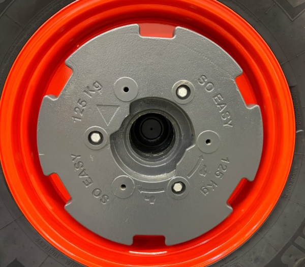 Easymass_Radgewicht_125_kg_1.png