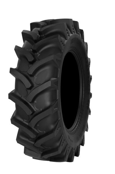 T410_AGROFOREST_2.jpg